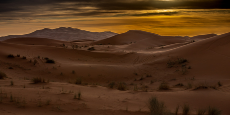 De woestijn kan zo mooi zijn. 