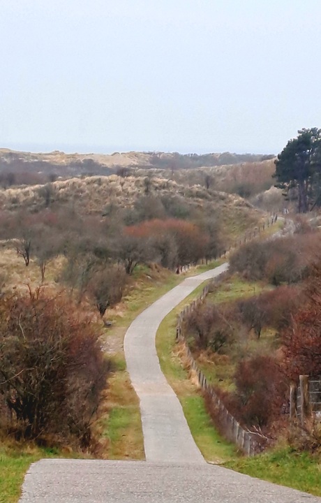Duinen in Zeeland