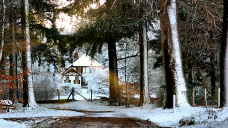 Boswachtershuis Sprengenberg
