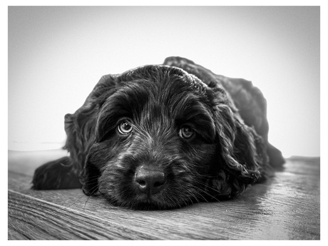 Disarm you with a smile