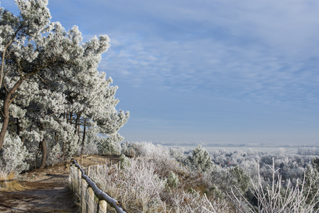 Winter in Schoorl