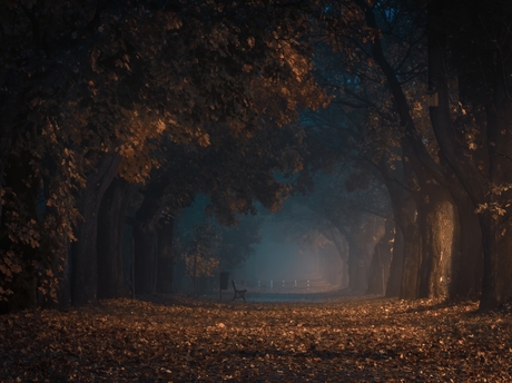 Een oproep naar herfstachtige diepten