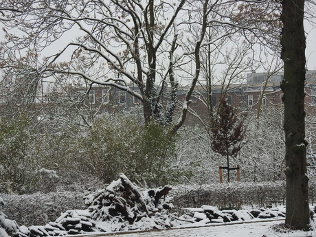 Moseik krijgt Romeinse kroon in Nijmeegs stadspark