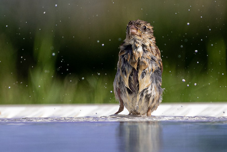 30 seconden later...