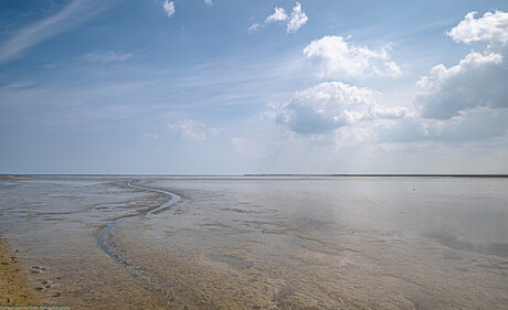 Het wad bij Paessens-Moddergat