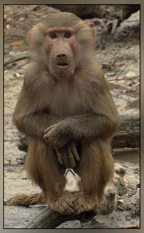 hoe kom je eraan..........................