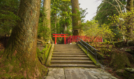 Hakone Shrine - Kanagawa (Japan)