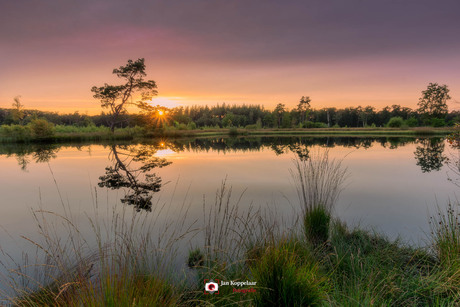 Wet Veluwe