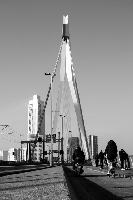 Straatfotografie Rotterdam
