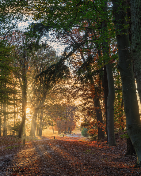 Laatste licht