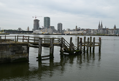 Alle hout is geen steigerhout