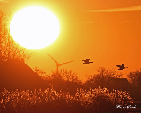 "Beautyfull sunset..."