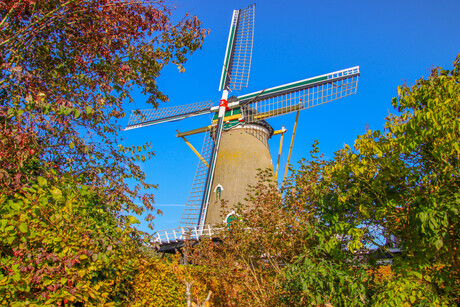 Molen 'Nooit Gedacht' in de herfstzon