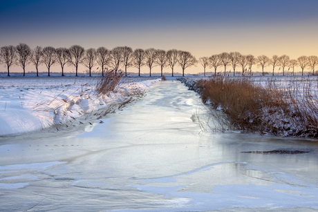 Winter in de polder