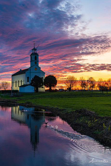 Wat een kleuren explosie!