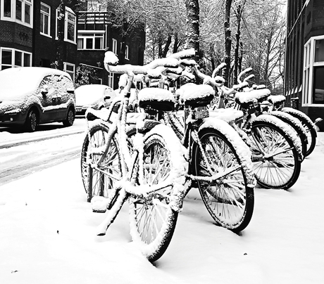 Fietsen in de sneeuw 