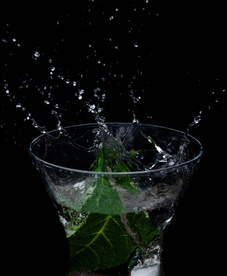 Splash