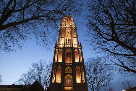 Silhoet van  bomen  bij de Dom van Utrecht