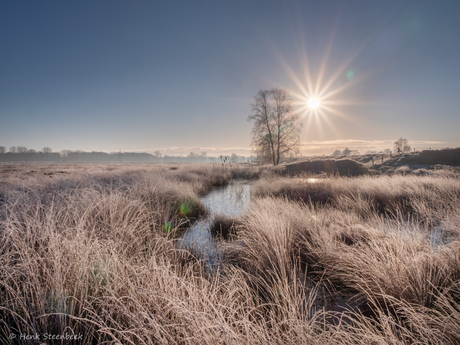 Zon over berijpte landschap