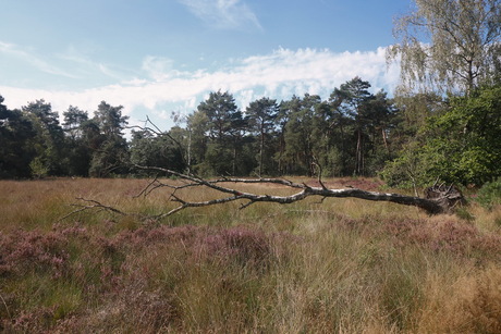 Woudenberg.