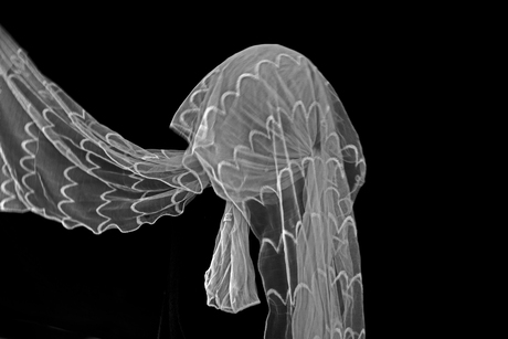 "Zelfportret Anders"