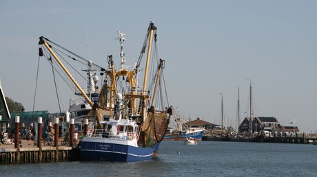 Texel.