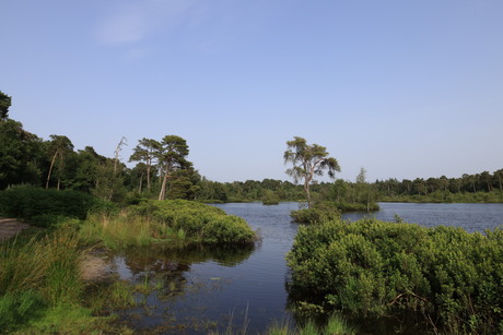 Weer een dagje Oisterwijks vennen en bossen