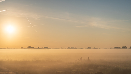 EARLY MORNING