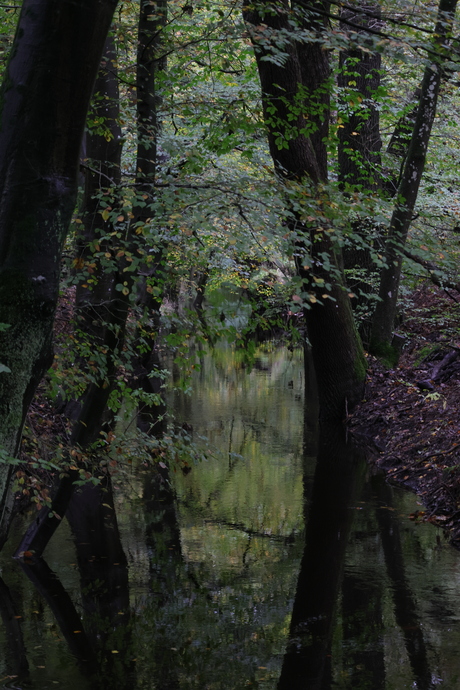 Herfst weerspiegeling 