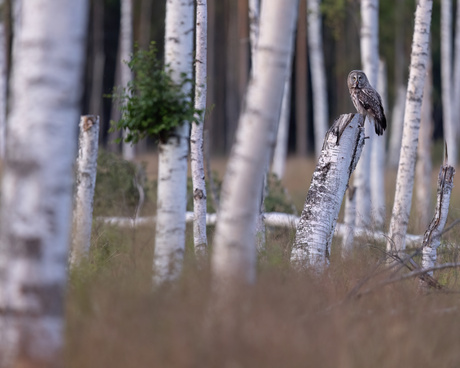 Een van onze favorieten.