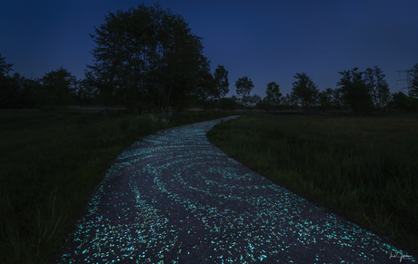 Van Gogh Bike Path