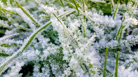 WINTER (archief 2016) Toen zat ik al een half jaar in behandeling... Nr. 1