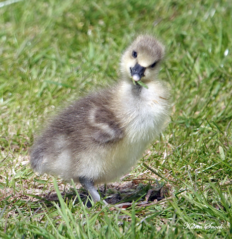 "Oh my...the attitude..."