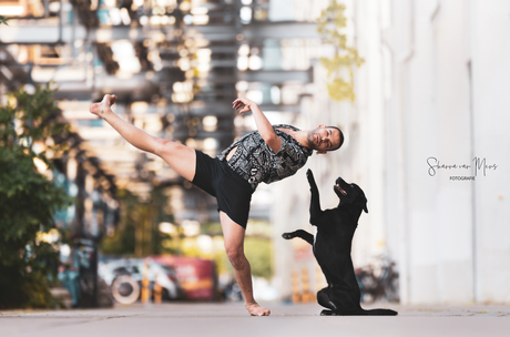 Just two professionals doing their morning street ballet