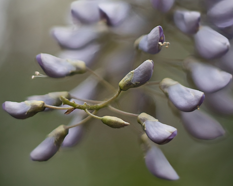 In de achtertuin...