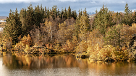 Herfst