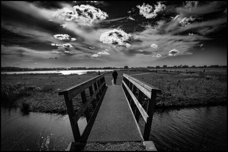 De polder in zwartwit fotografie