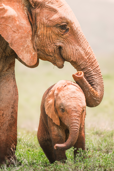 In de schaduw van jouw liefde