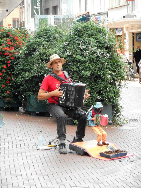Muzikant