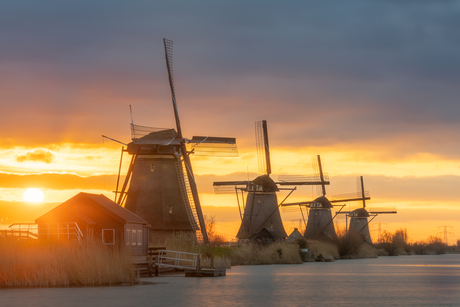Morninglight on the windmills