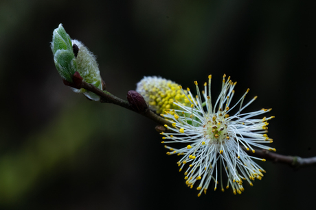 het mooie van moeder natuur