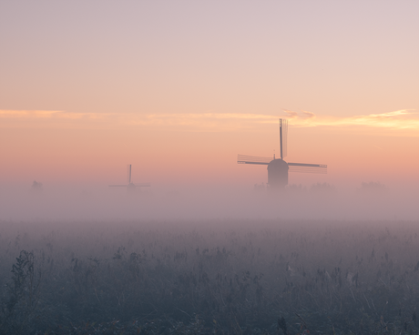 Molens in de polder