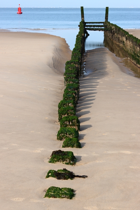 Groene paaltjes.
