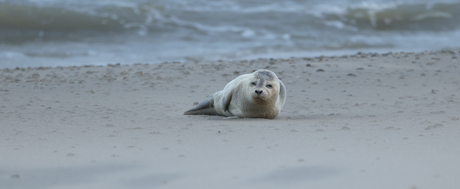 Rustend op het strand van Texel