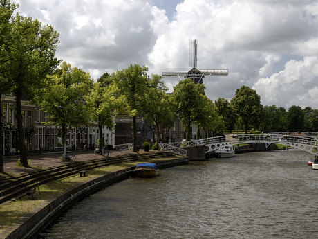 Dokkum 2