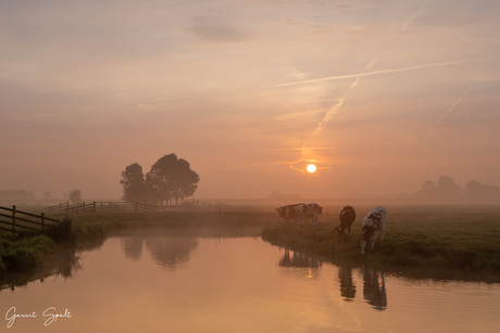 polderplaatje