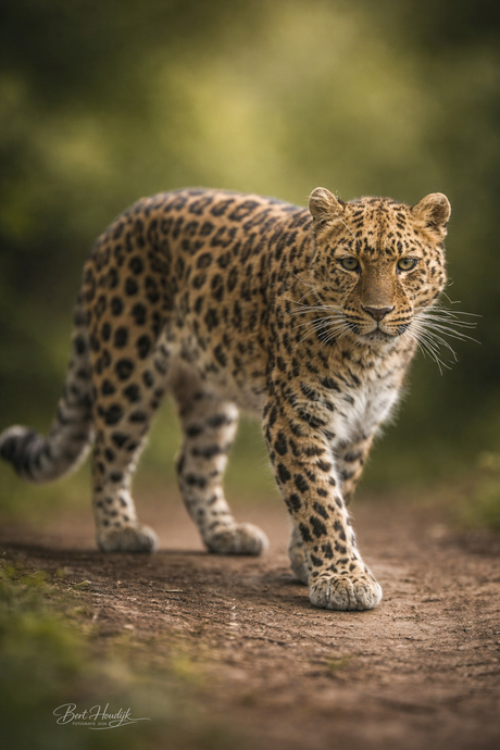 Oog in oog met de stilte