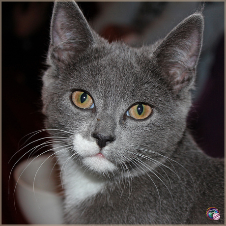 Kijk in mijn ogen …