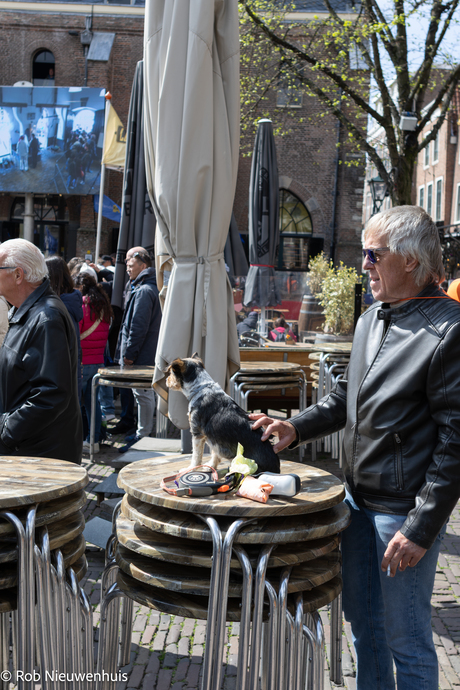 Kaasmarkt