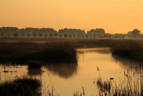 Polder in sepia